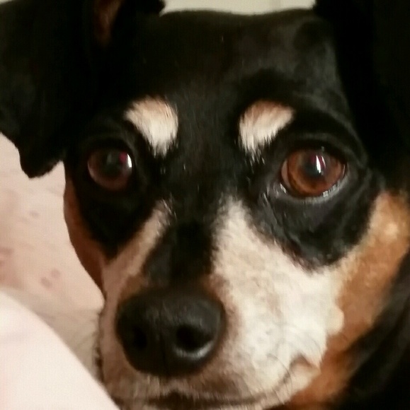 kassiiib